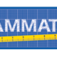 cammatik logo